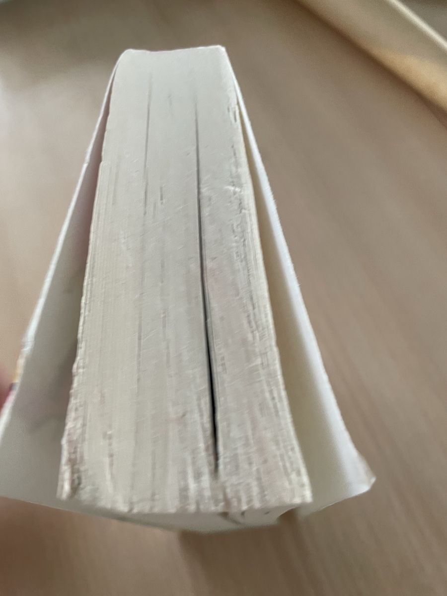 Livres: Die Kunst des Verschwindens -Melanie Raabe – D'occasion à Rechthalten par mau_c8tq 2