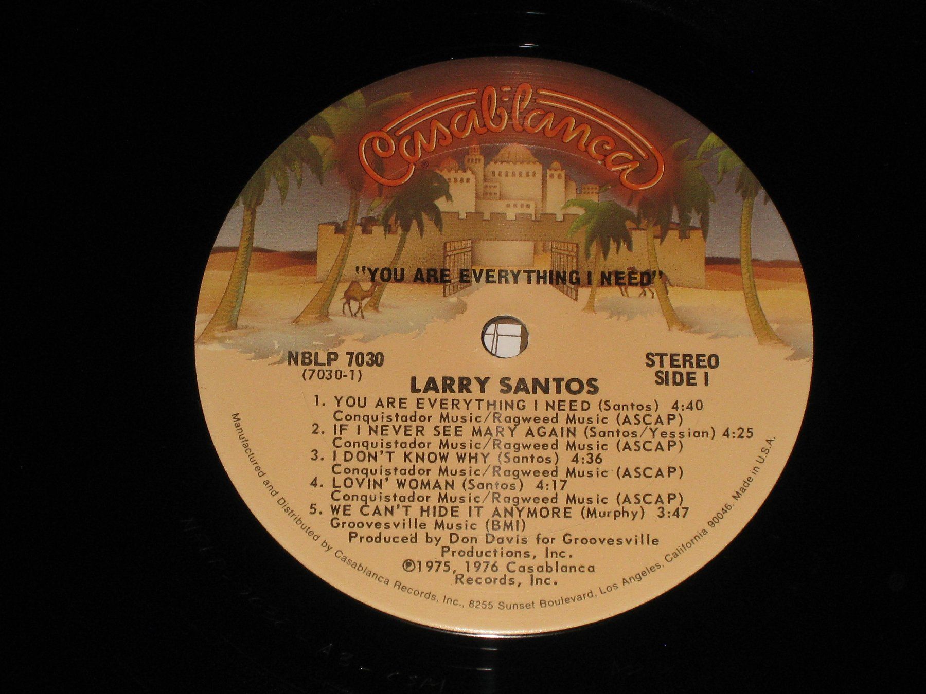 Vinyles: LP - LARRY SANTOS - YOU ARE EVERYTHING I NEED – D'occasion à Steckborn par Quo7 1