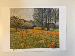Walter Mafli - Lithographie originale "Forel Lavaux"40/50