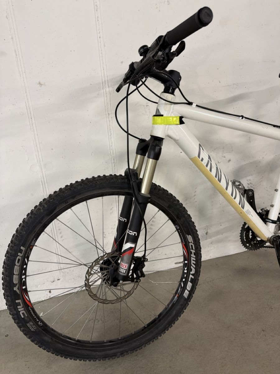 Canyon Biciclette: Mountain Bike – Usato da Stäfa venduto da Bubulili