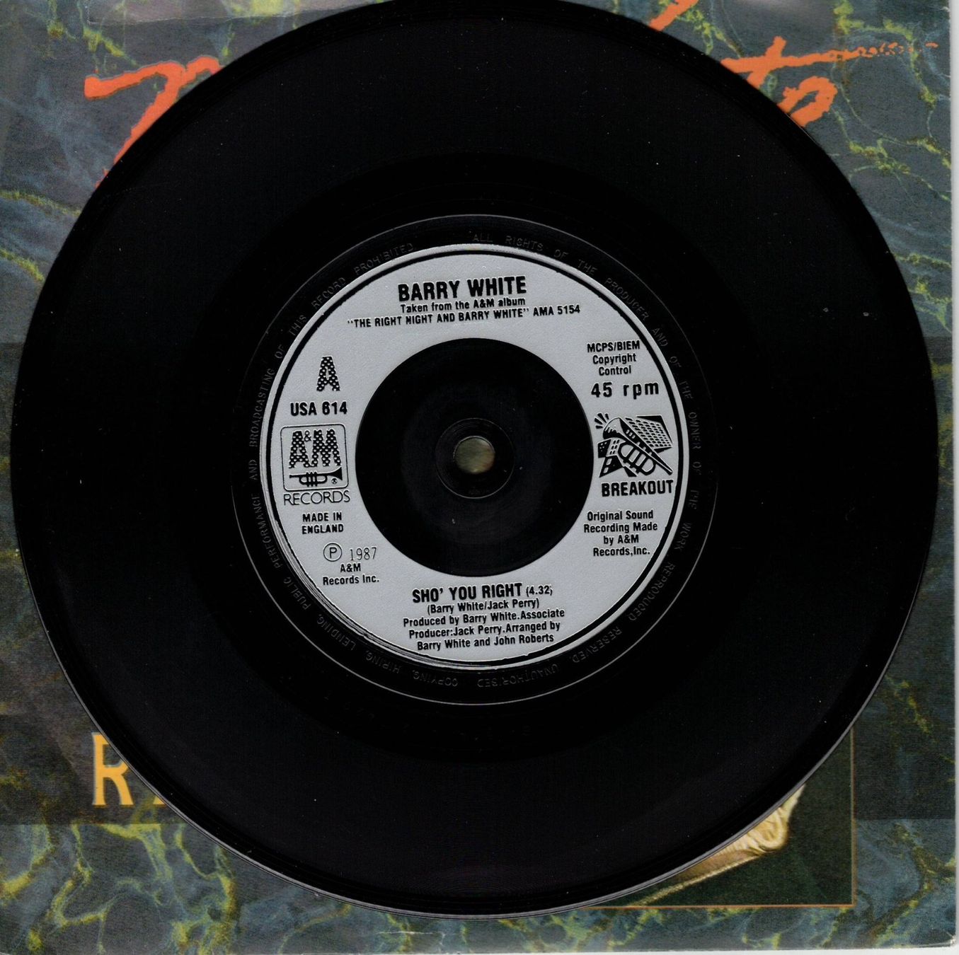 Dischi in vinile: Single7  Barry White  -- Sho you right – Usato da Oberwil (Dägerlen) venduto da thealbum