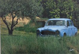 PEUGEOT 403 - Colombo et l'olivier