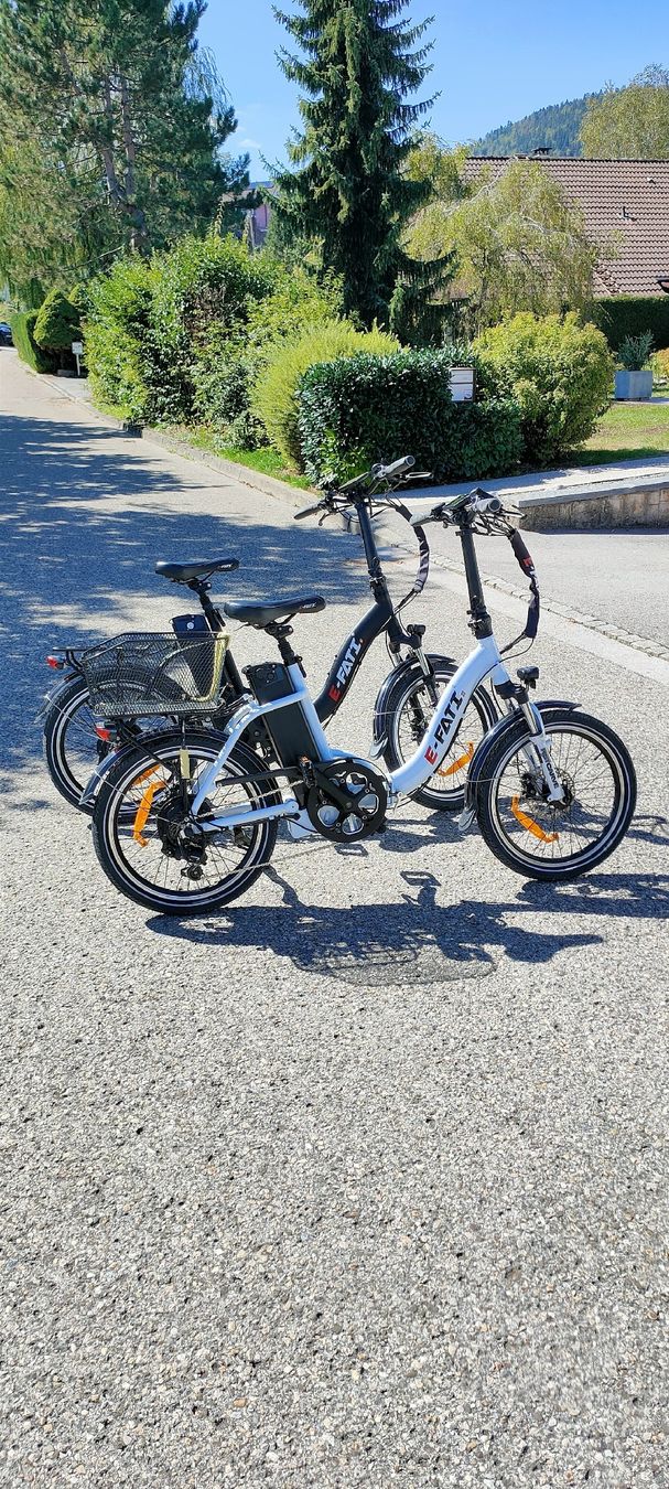 Velos: E-FATI – Gebraucht aus Fleurier von Reneli53