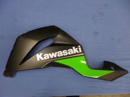 Kawasaki ZX-6R / 2016 Seitenverschalung links unten