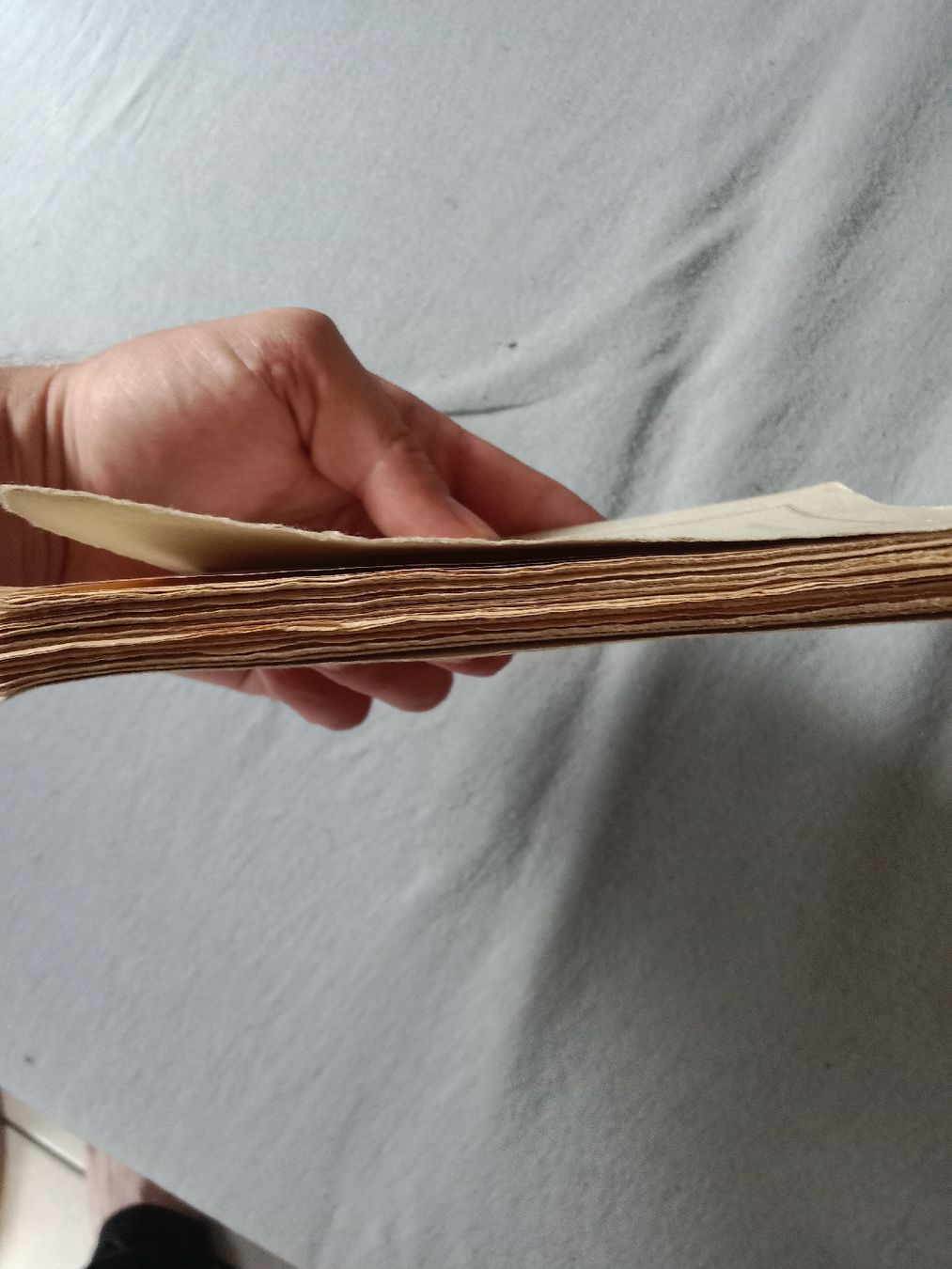 Libri: Sur le zèle – Usato da Fully venduto da der_hg9r 2