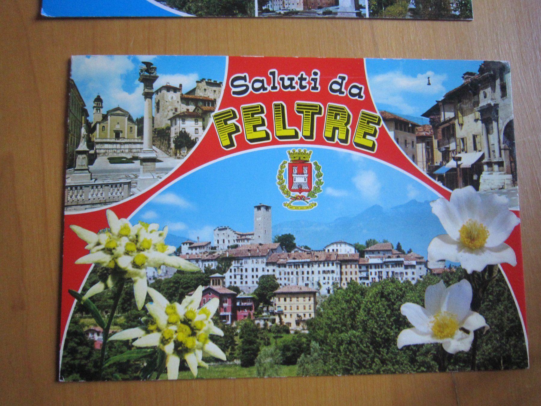 Ansichtskarten: No 16 Schöne Postkarten FELTRE – Gebraucht aus Gordola von Polentaefung 7