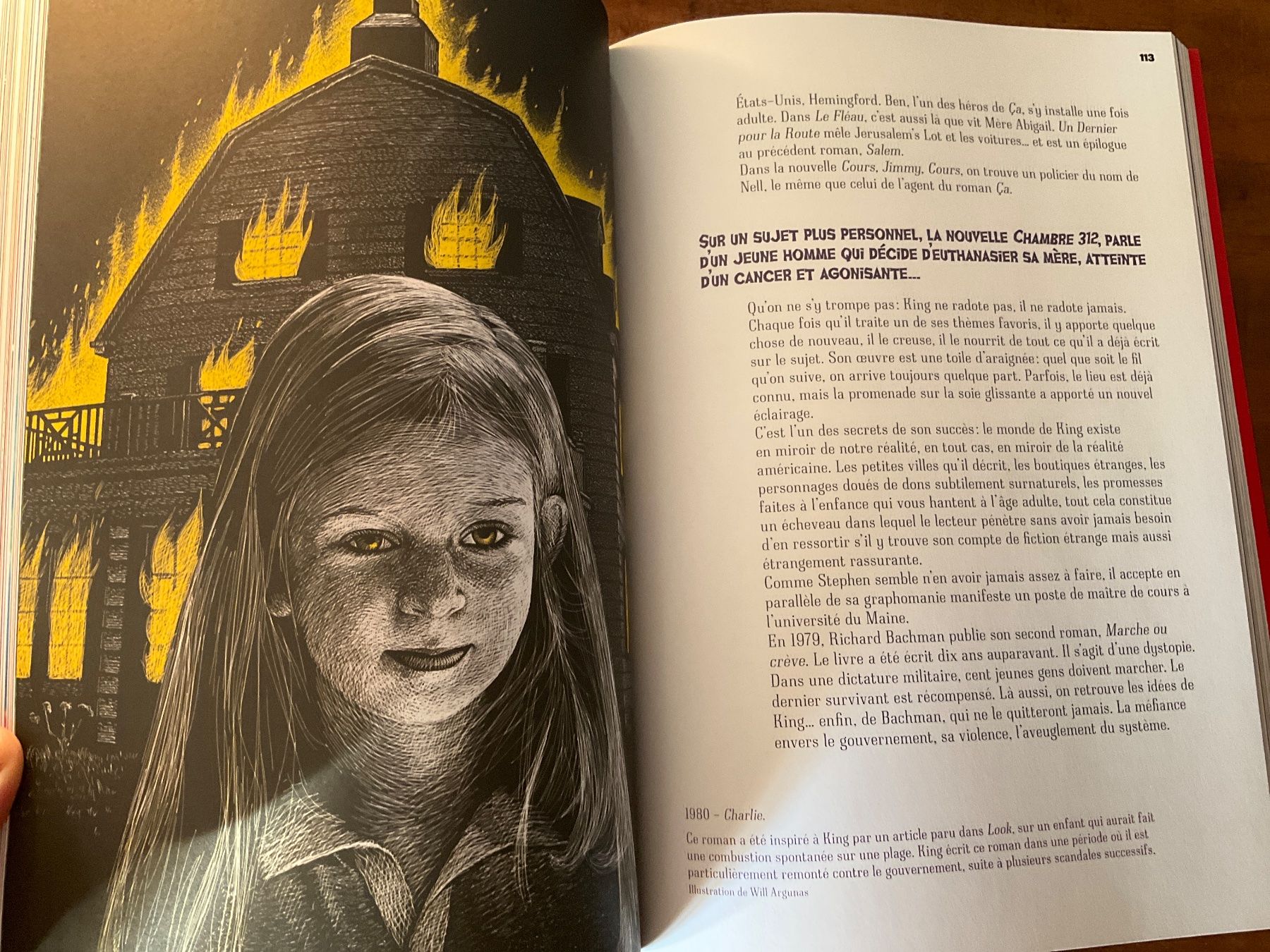 Libri: Livre Pop Icons Stephen King – Usato da Avenches venduto da Lactobacille 2