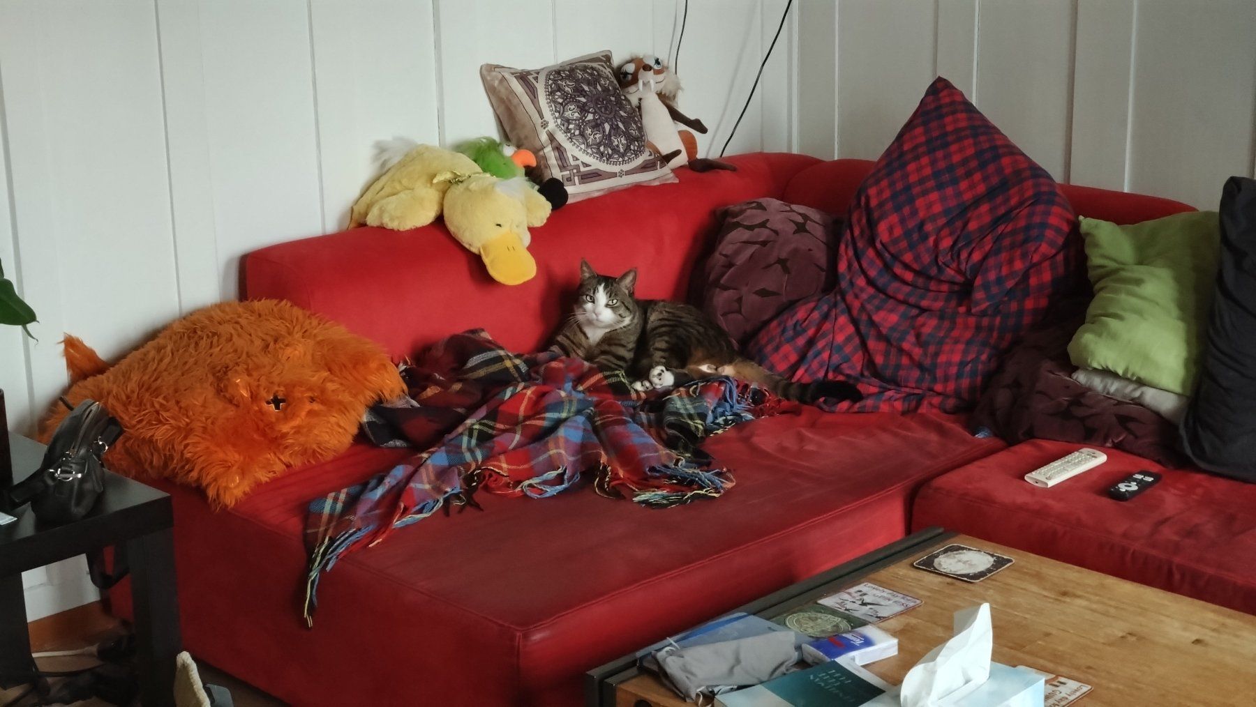 Divani: Grosses rotes Ecksofa abzugeben – Usato da Bern venduto da Connae75 5