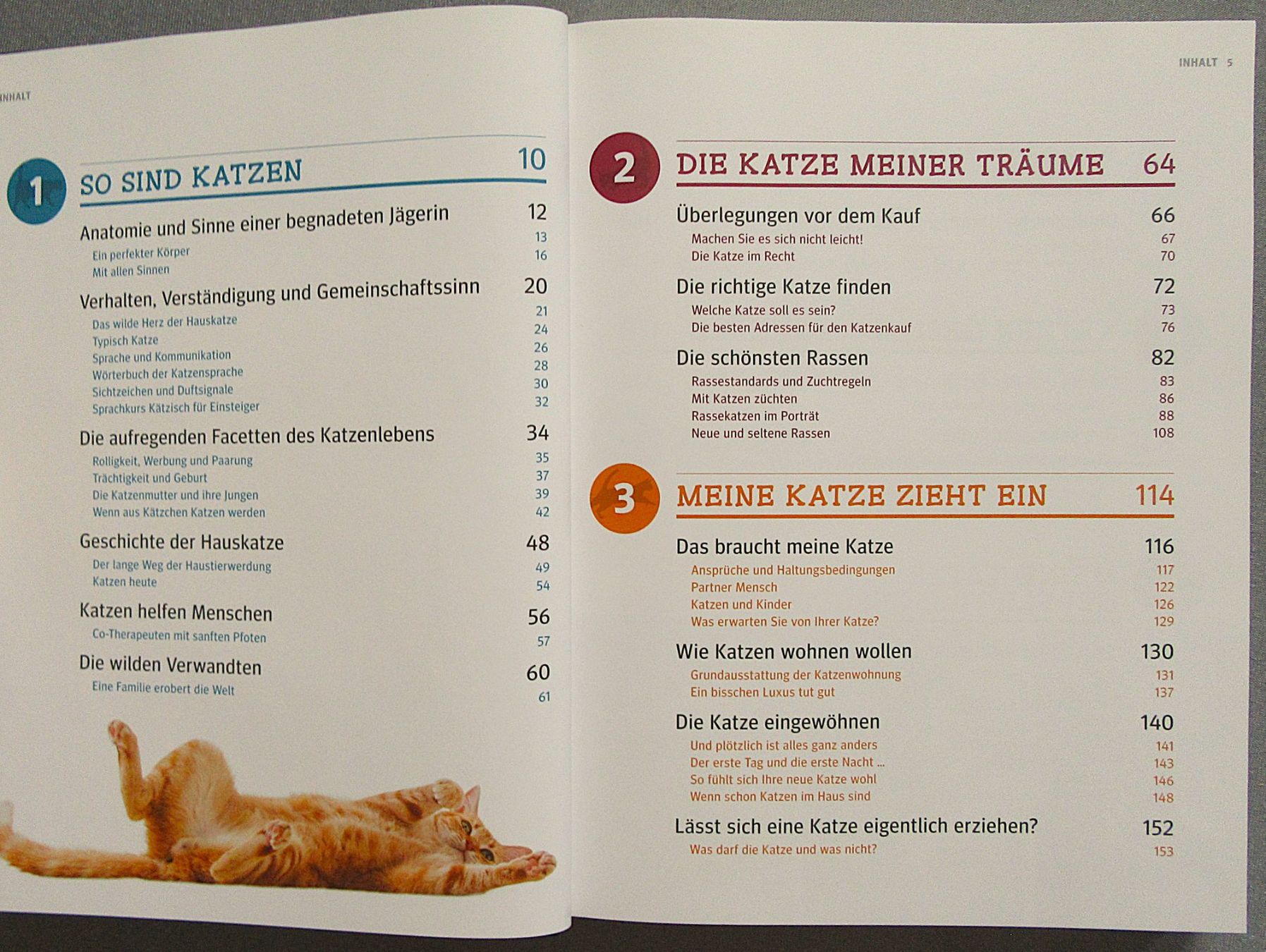 Bücher: Katzen - Das grosse Praxishandbuch - GU – Gebraucht aus Auenstein von Padabimbim 2