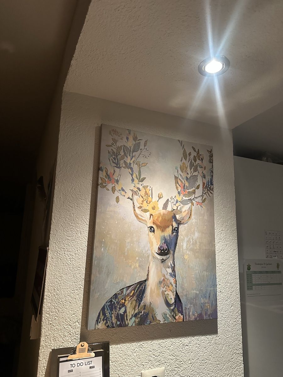 Foto & Immagini: Bild Rentier 50x70 cm – Nuovo (secondo la descrizione) da Liestal venduto da esr_9y9c
