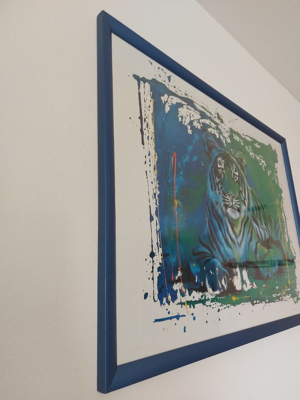 Foto & Immagini: schönes Tigerbild – Usato da Mönchaltorf venduto da Chriga80 2