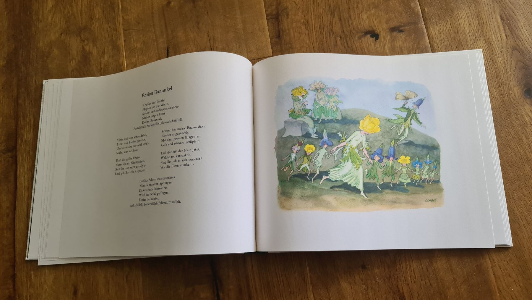 Libri: alpenblumenmärcher erich käster buch – Usato da Wittenbach venduto da Tigerlili 6