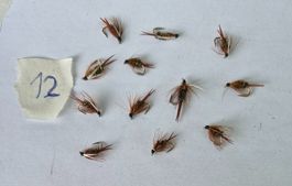 12 Stück Nass Fliege