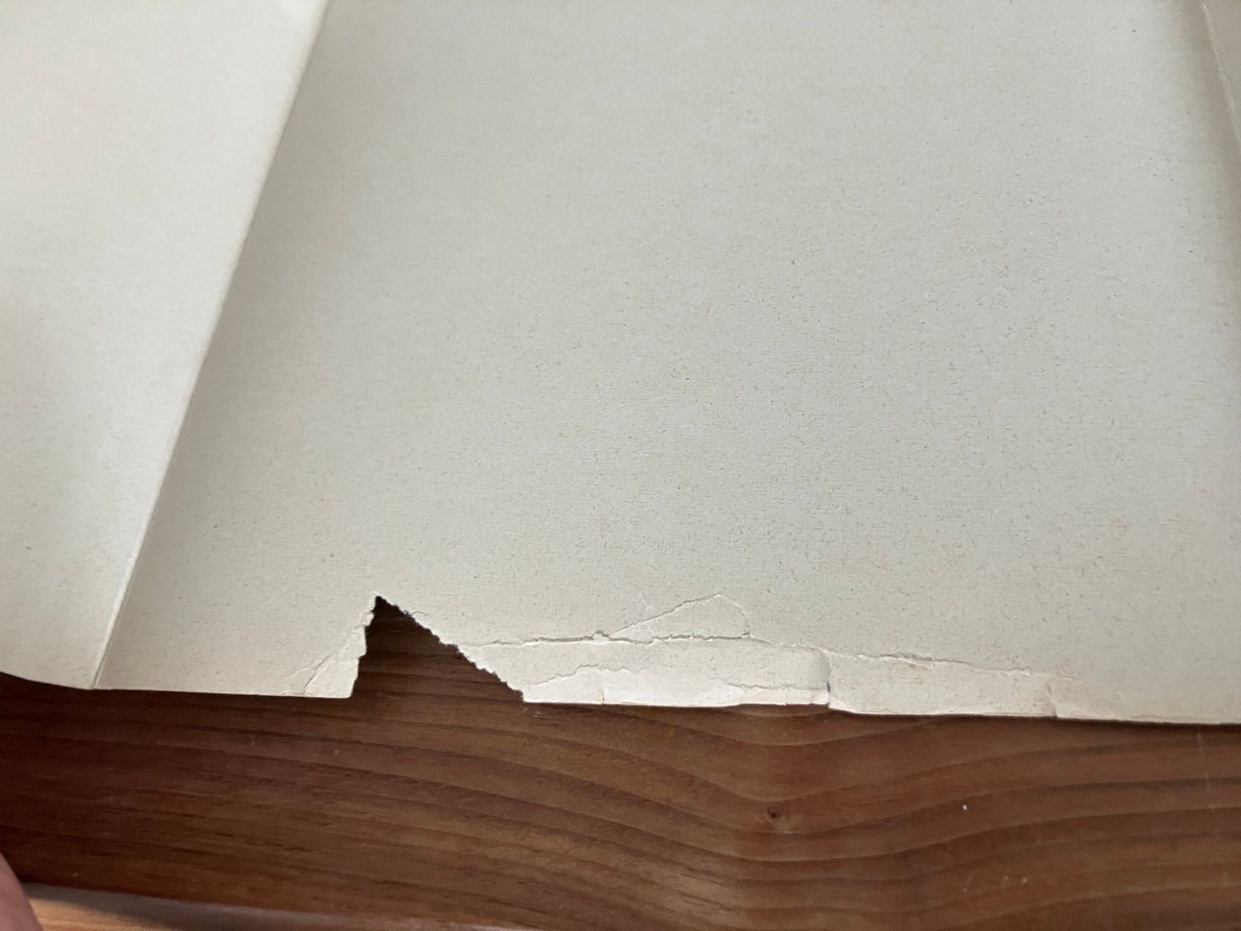 Libri: Buch - John F.Kennedy - antik – Usato da Lindau venduto da PrinterGuy 1