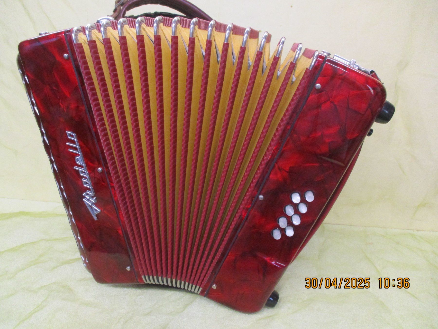 Strumenti musicali: Akkordeon Mini Stradella – Usato da Jegenstorf venduto da Oktavio 3