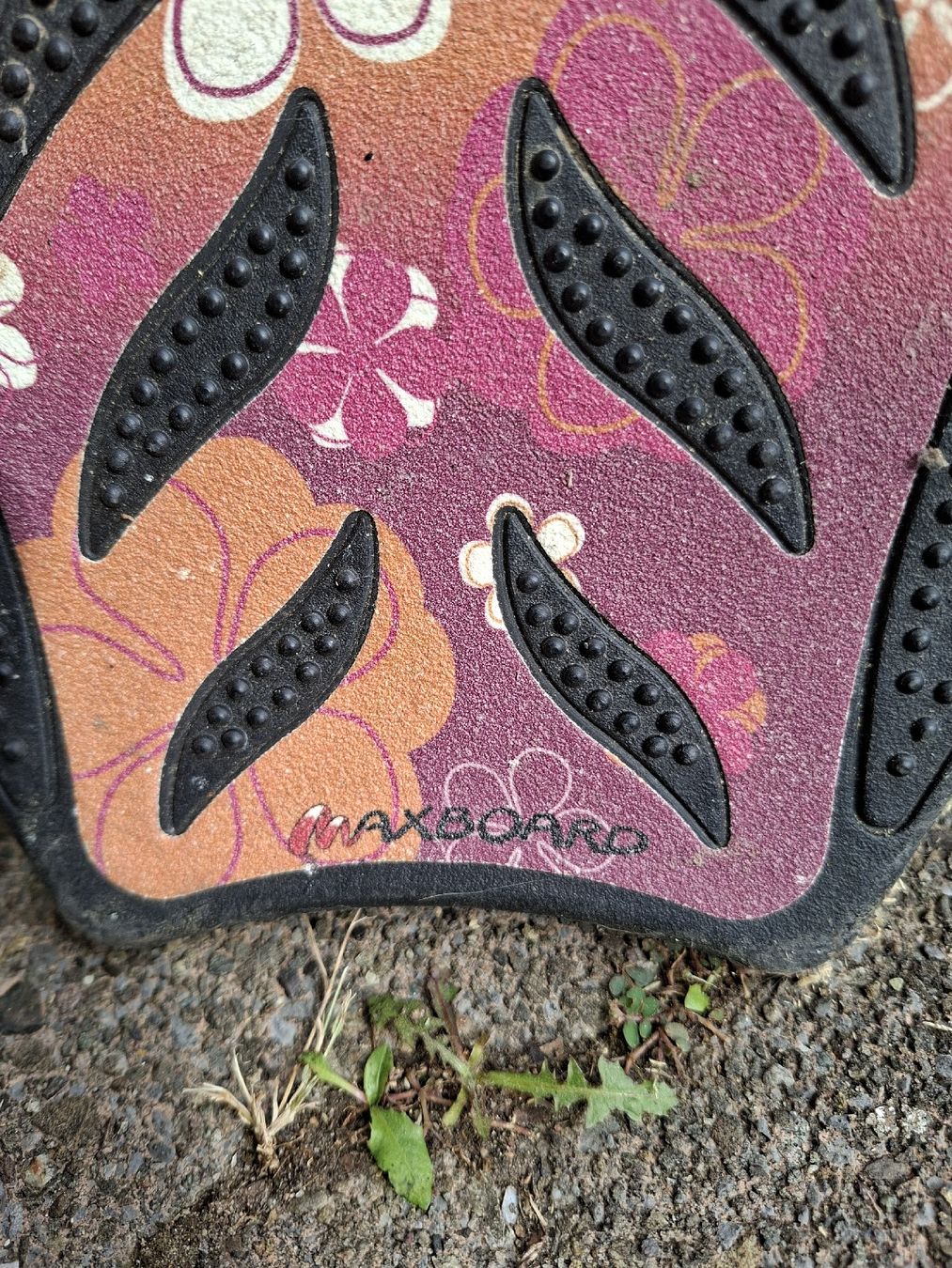Skateboards: Maxbord – D'occasion à Eschenbach SG par Psnow 1