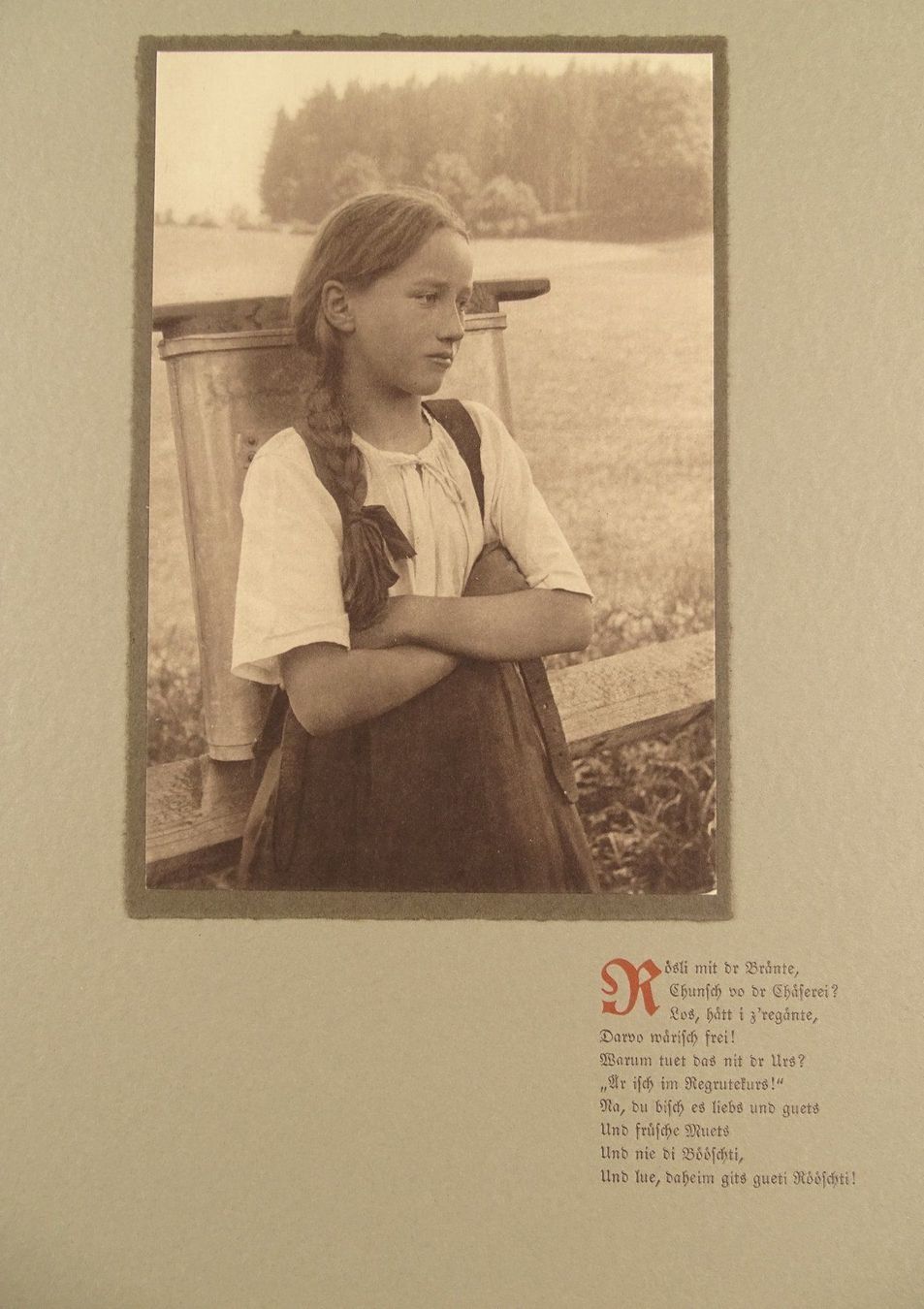 Libri: DER BERNER BAUER, 12 STUDIEN – Usato da Grüningen venduto da Kartensammler 6