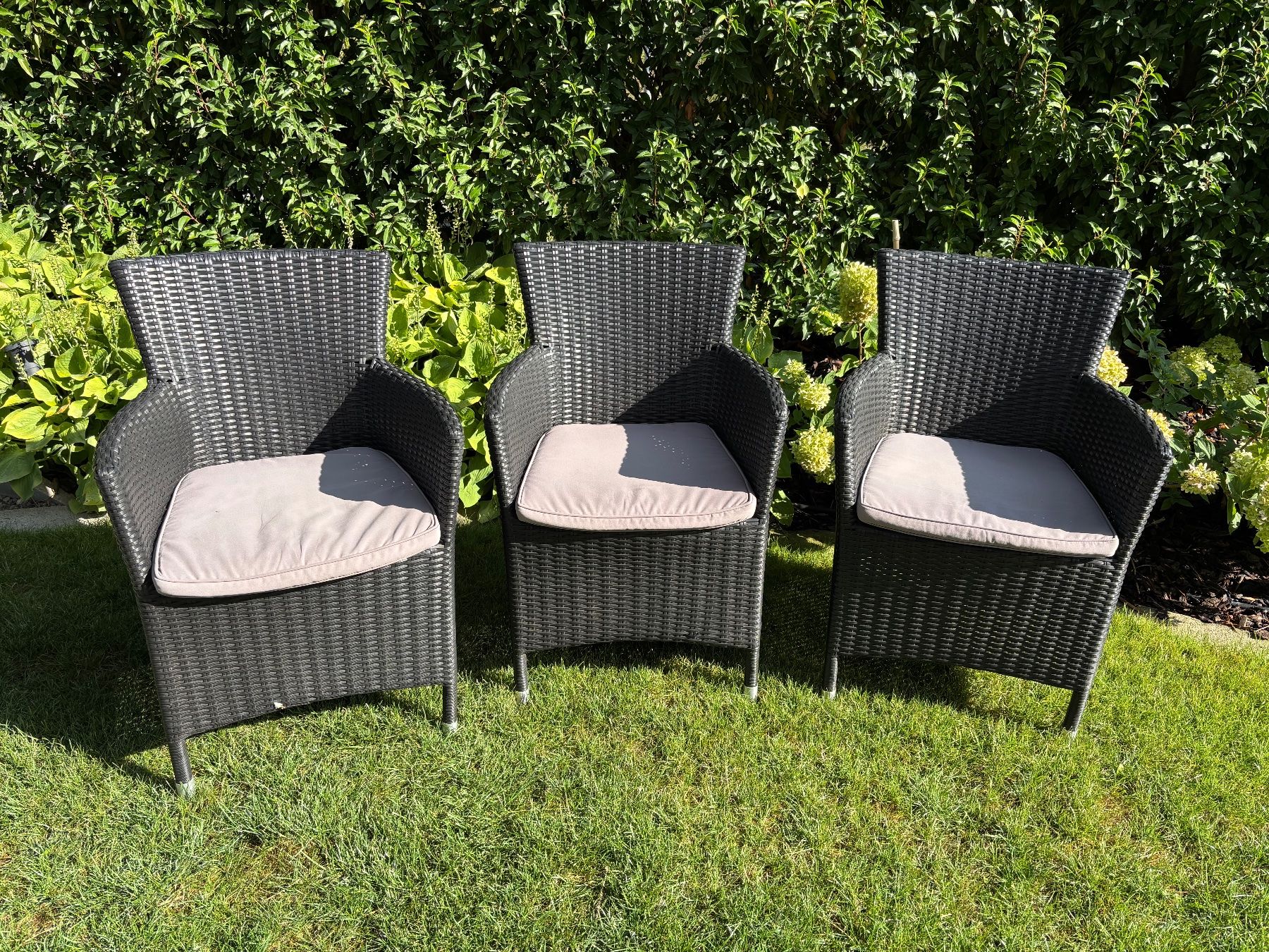 Chaises: 3 Gartenstühle Polyrattan – D'occasion à Weinfelden par Schuede10