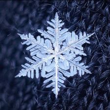 Profile image of sneeuwvlok