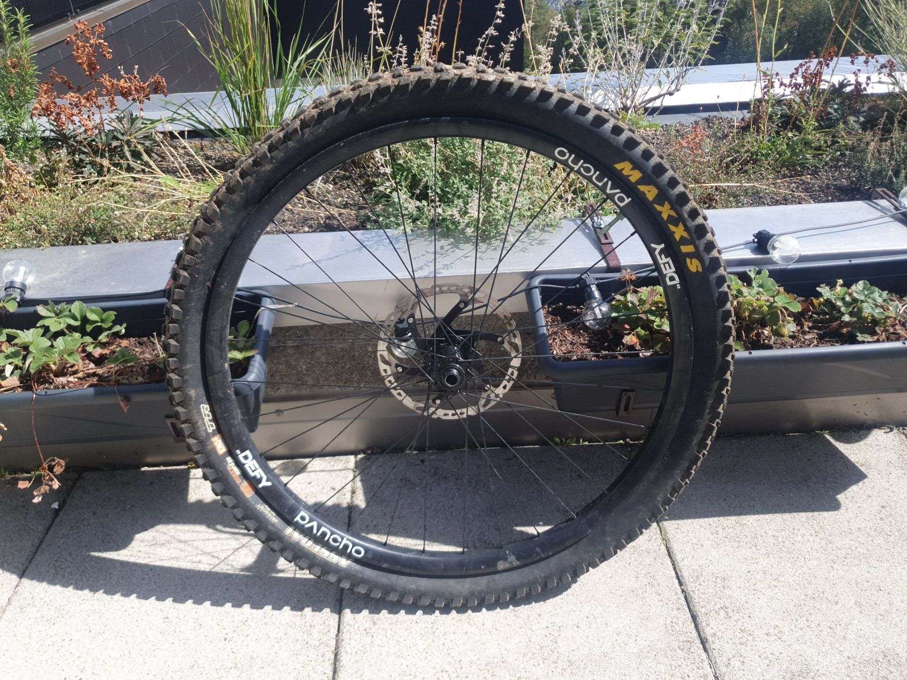 Pneus & Kompletträder: Roue avant Defy Pancho – Gebraucht aus Magglingen/Macolin von Zwo2