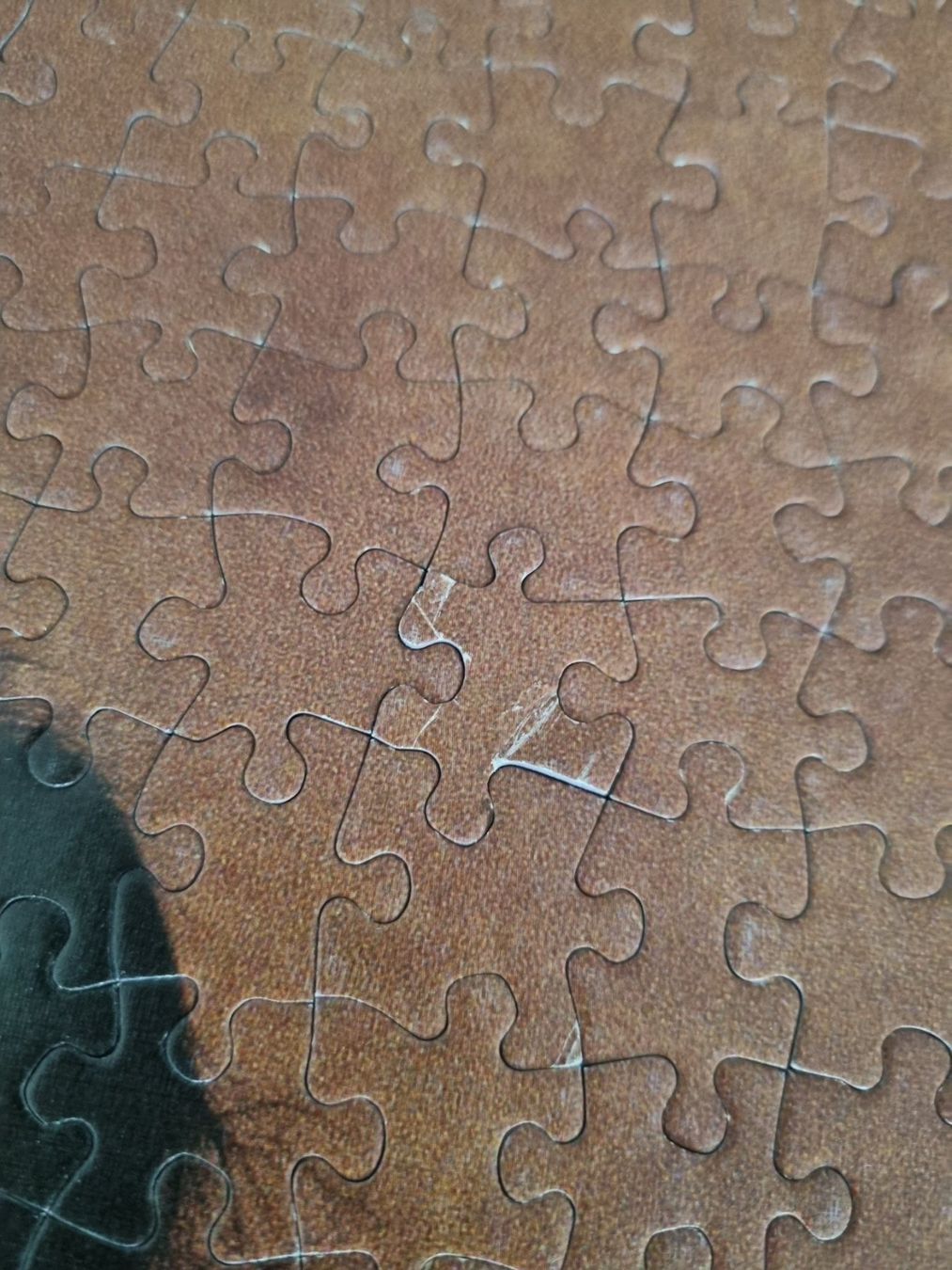 Puzzles: Herziges Puzzle (Zwillinge) 900 Teile – Gebraucht aus Gams von federli29 2