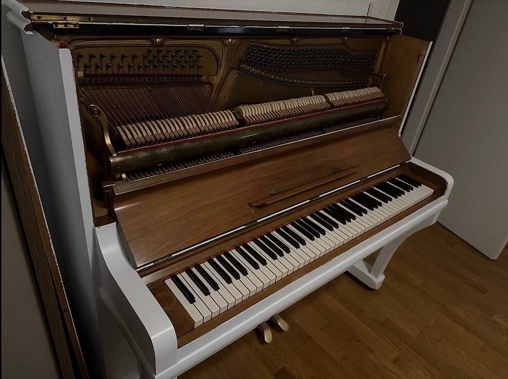 Strumenti musicali: Hornung møller 1924 – Usato da Bex venduto da sba_v6tg 2