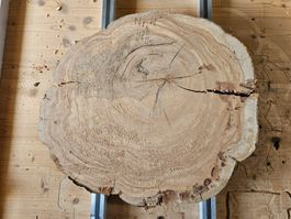 Baumscheibe Kirschbaum Holz