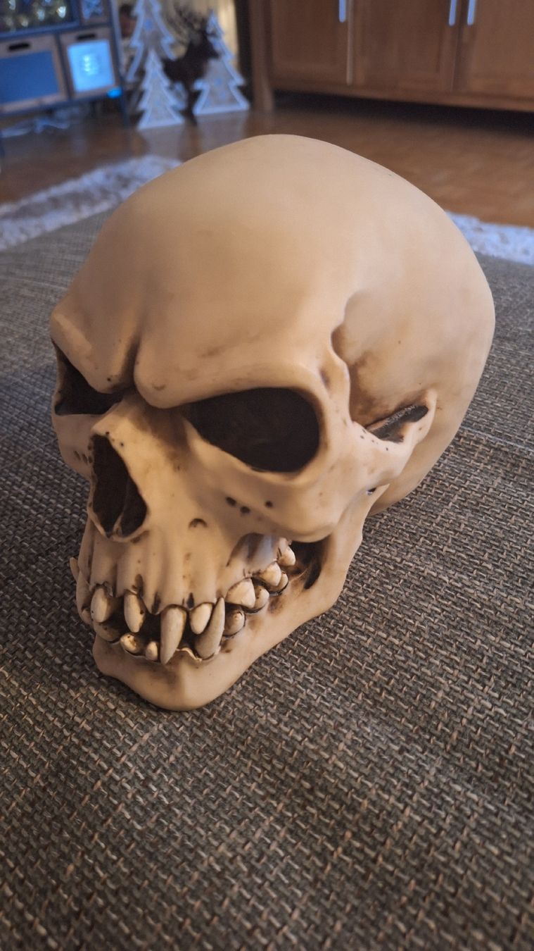 Tutte le decorazioni: Orc Schädel Totenkopf Skull – Nuovo (secondo la descrizione) da Luzern venduto da thomarco