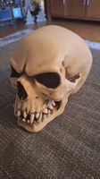 Orc Schädel Totenkopf Skull
