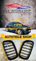 BMW Nieren X6 E71 M Doppelspeichen mit X6M Emblem Grill
