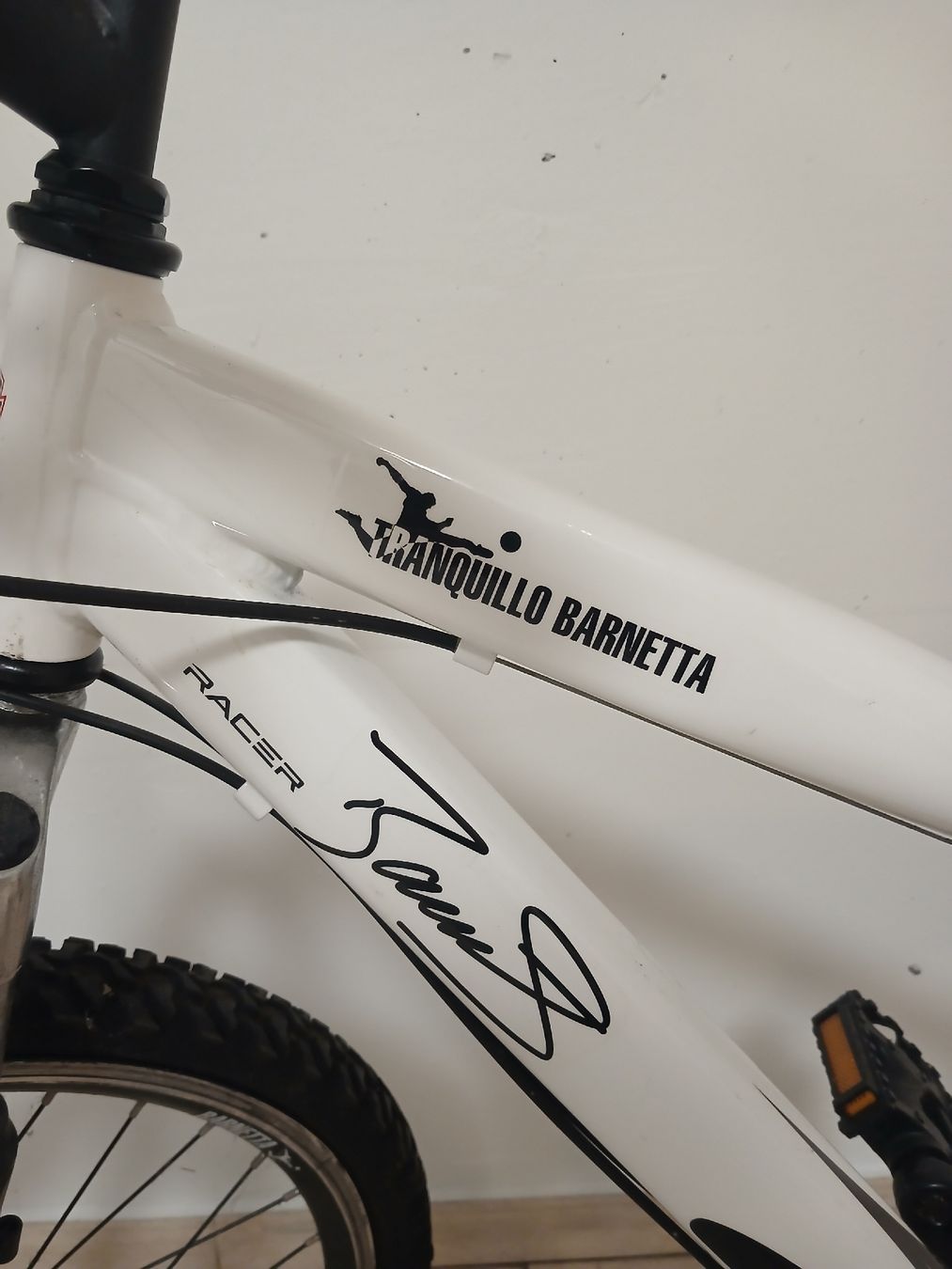 Velos: !!! Mountainbike Tranquillo Barnetta !!! – Gebraucht aus Reinach BL von Ibizo69 1