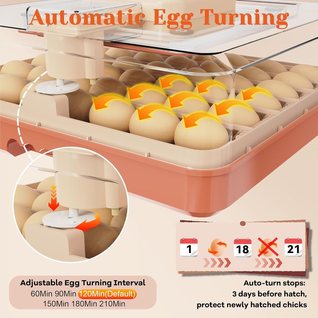 Autres accessoires pour animaux: Brutautomat 48 Eier vollautomatisch Inkubator LED Display – Neuf avec emballage d'origine à Wittenbach par SELVARO 3