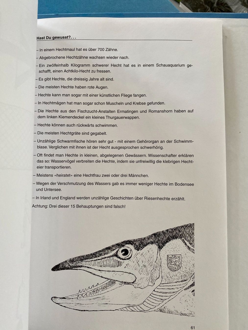 Libri: Zwüsched Bodesee und Hörnli, T. Kappeler – Nuovo e nell'imballaggio originale da Gerlikon venduto da jabadabadu 4