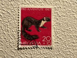 Schweiz Briefmarke ab 1 CHF !!!