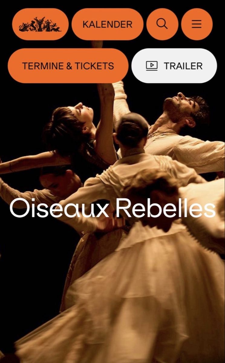 Biglietti: Ticket Oiseaux Rebelles dance performance 11.09.26 – Nuovo e nell'imballaggio originale da Kilchberg ZH venduto da san_hs8y