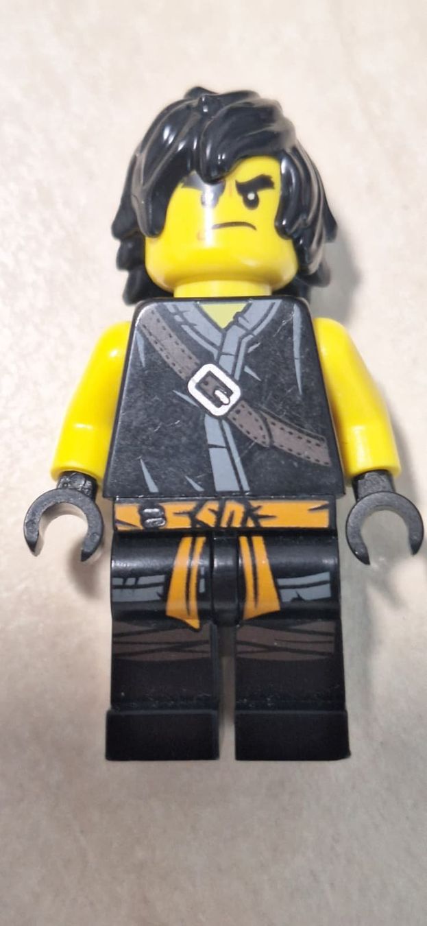 Lego Giocattoli: Lego Ninjago Cole Season 11 – Usato da Egnach venduto da sea_2zvc