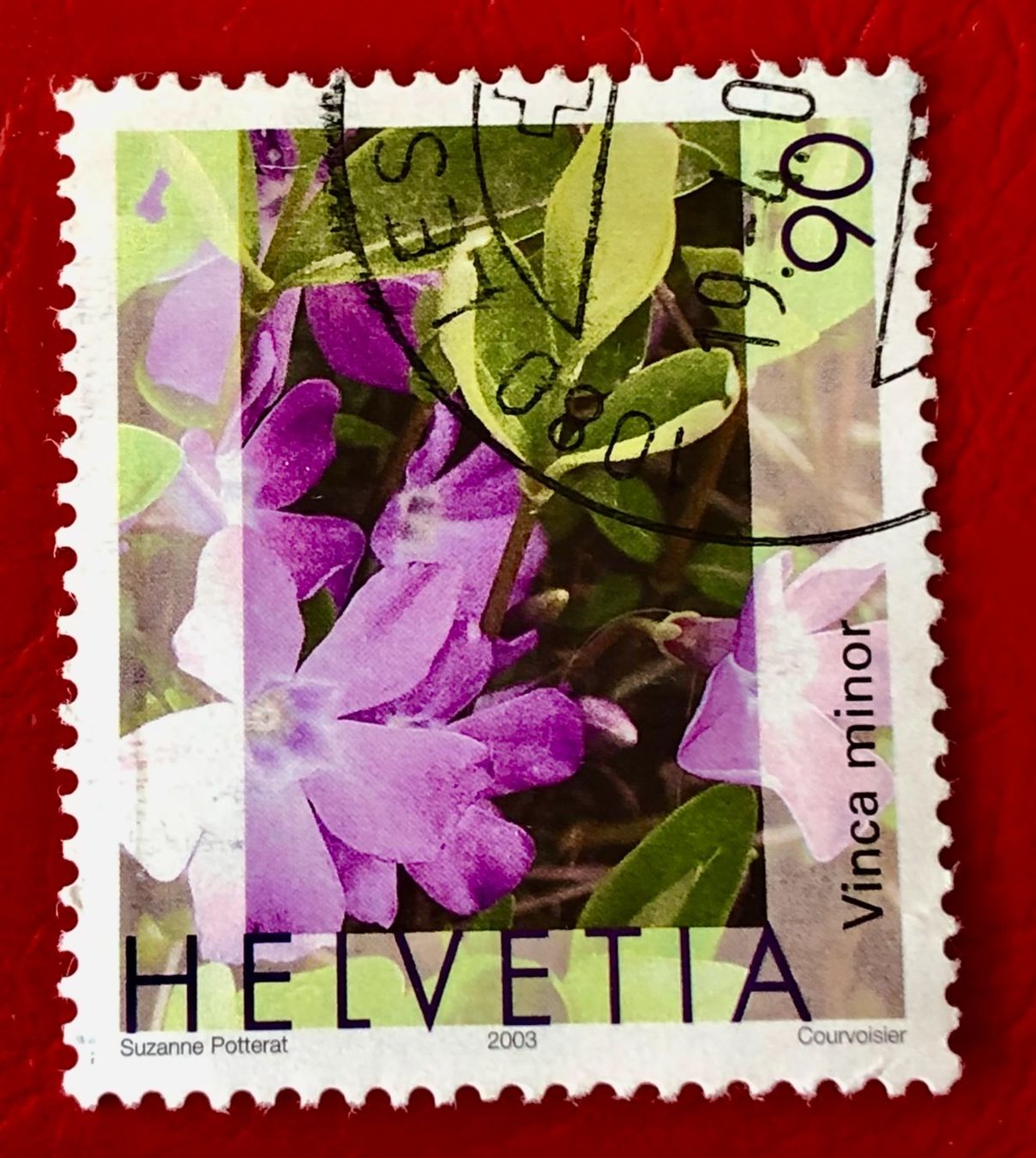 Alle Briefmarken: Nr.1074 Gemeines Flora,Immmergrün GESTEMPELT 2003     – Gebraucht aus Aarau von Billa007