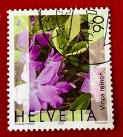 Nr.1074 Gemeines Flora,Immmergrün GESTEMPELT 2003    