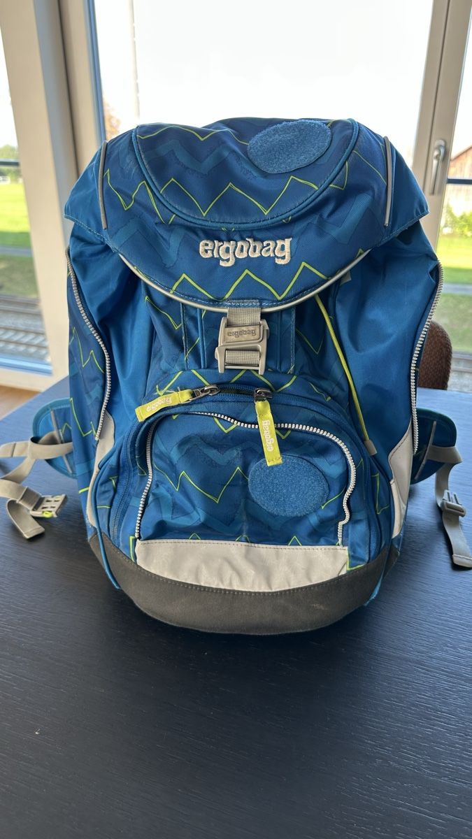 Ergobag Borse & Zaini: Ergobag Schulrucksack - gut erhalten! – Usato da Altendorf venduto da pebi77