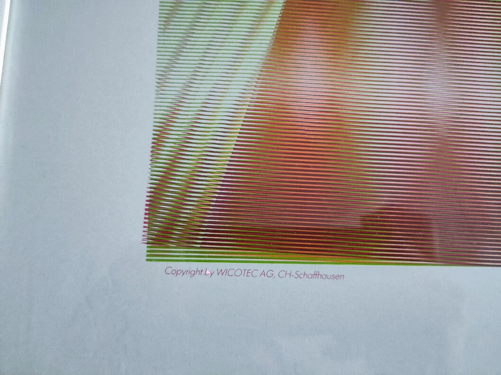 Grafica & Litografie: Serigrafie Werner Riedweg_1989 – Usato da Losone venduto da _robla_ 1