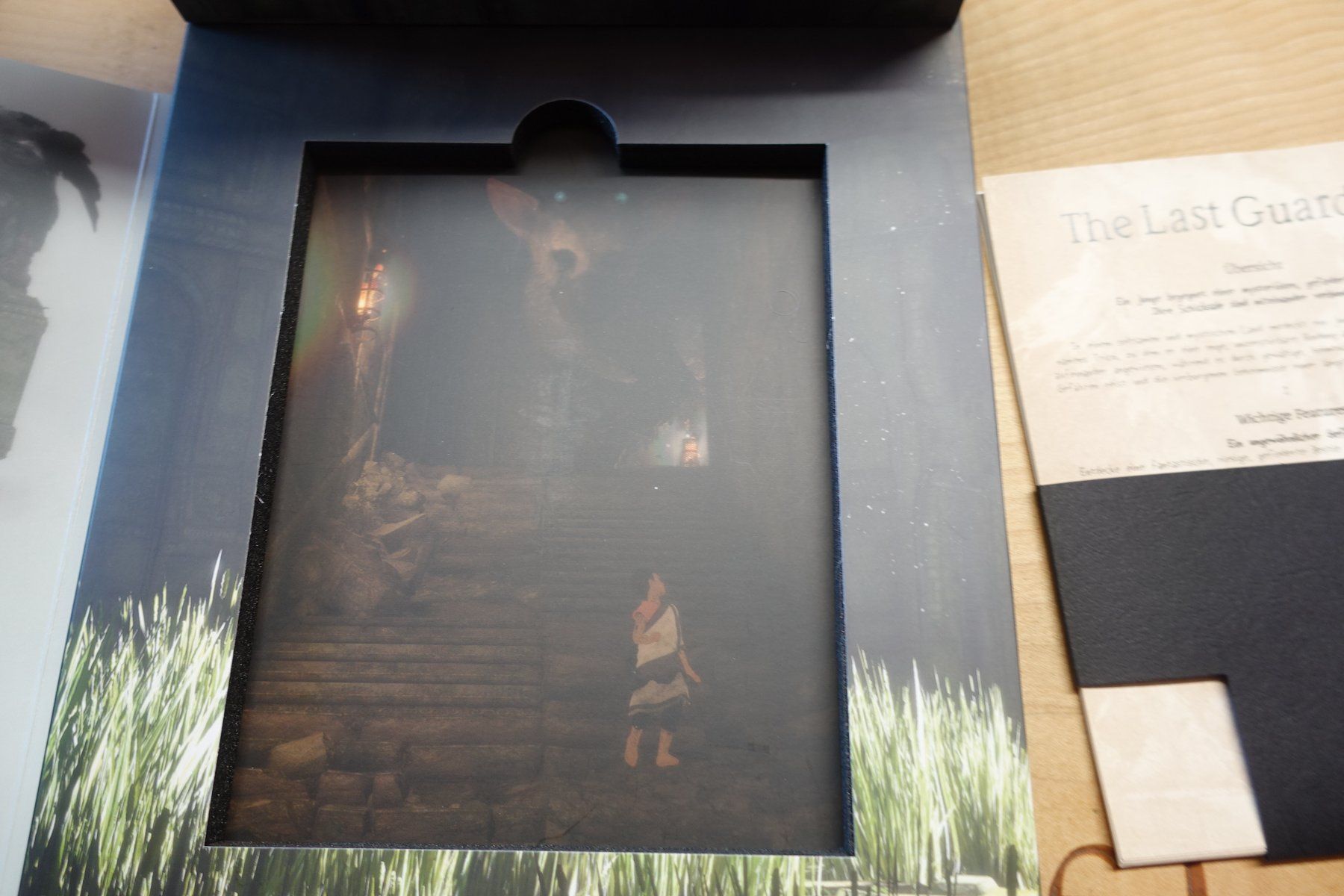 Sony Spiele: The Last Guardian - Press Kit – Gebraucht aus Steinach von Gamecet 7