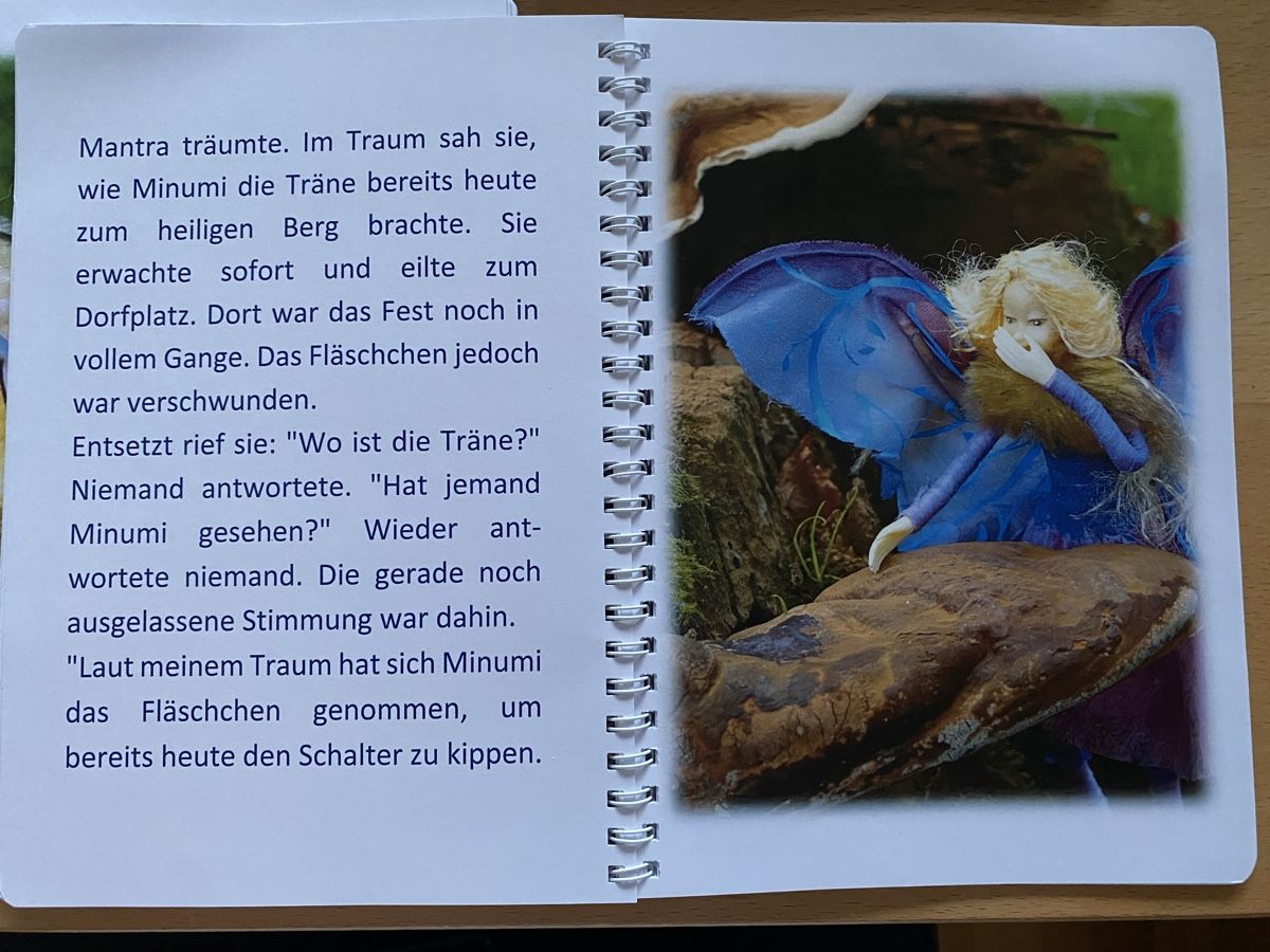 Libri: 10 Märchen über Elfen - Damaiania – Usato da Schwarzenburg venduto da Michellu 2