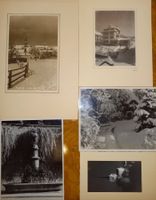 5 anciennes photographies de Payerne s. Livet