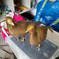 2 goldene Vögel