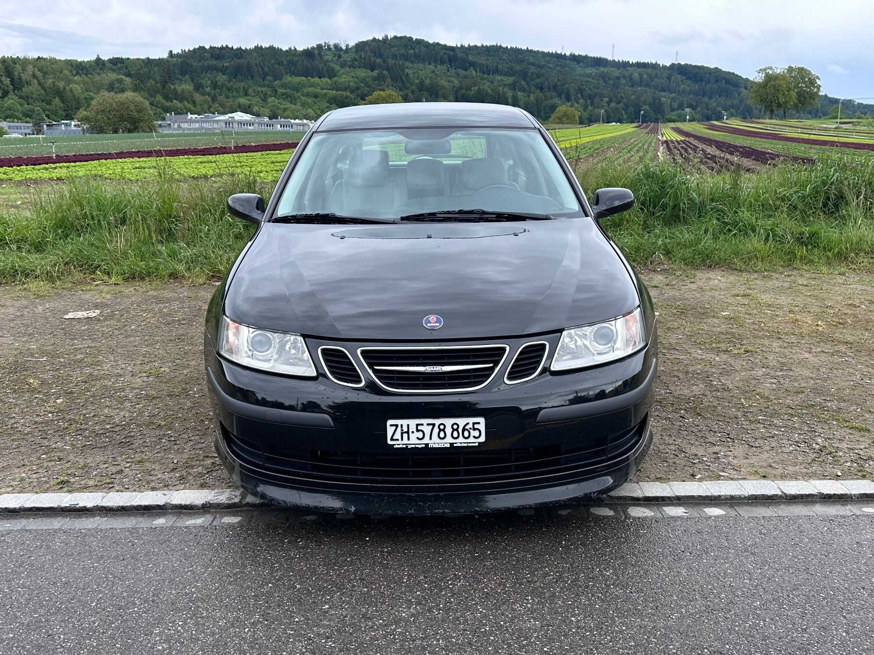 Saab Automobili: Saab 93 2.0T Hirsch Manuell – Usato da Richterswil venduto da web_2m88 5
