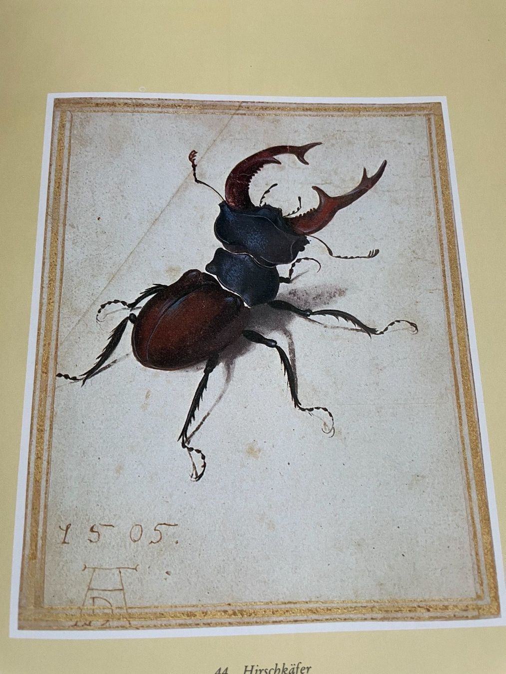 Libri: Libro sull’opera di Albrecht Dürer – Usato da Breganzona venduto da BlueBlue 8