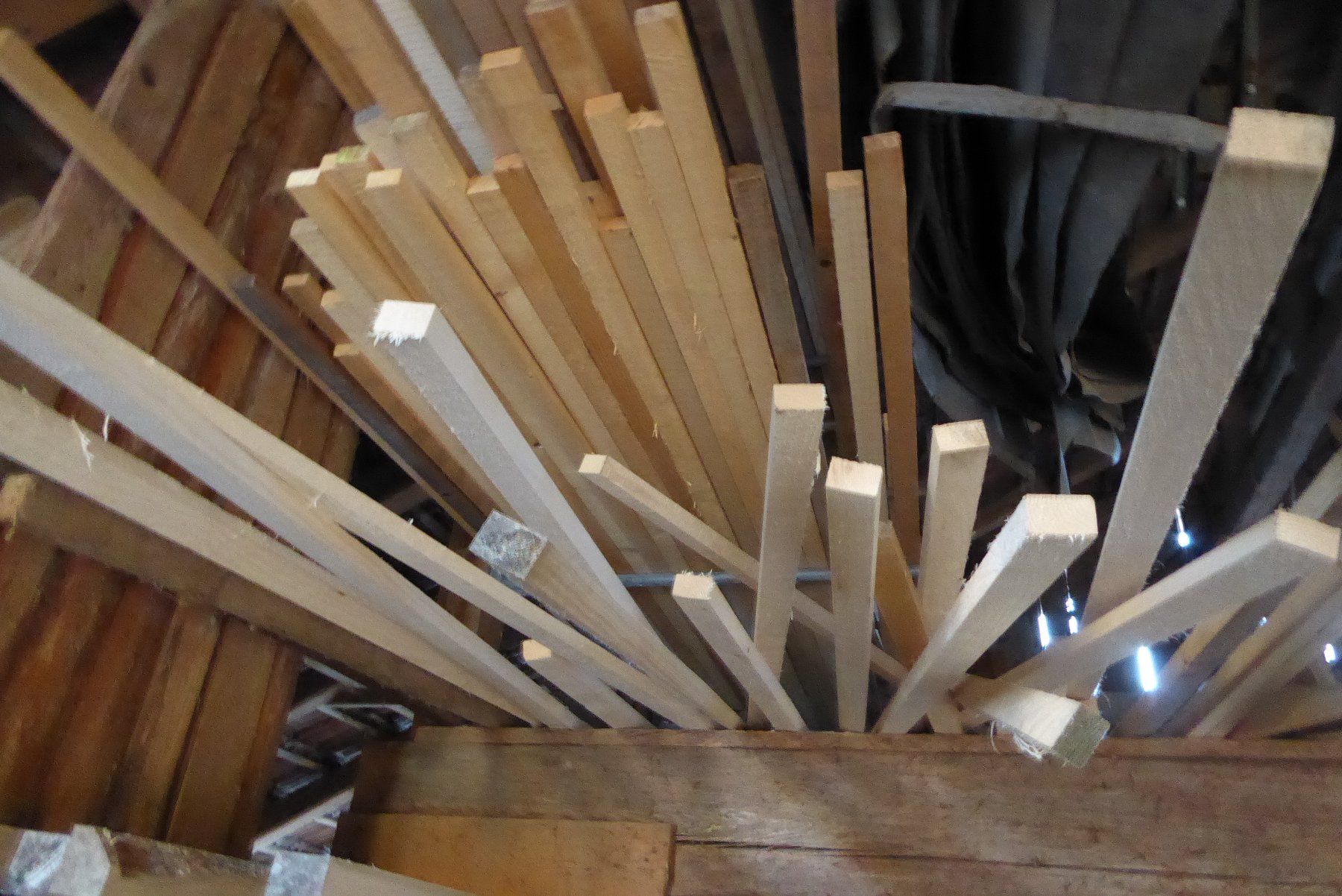 Articoli in legno: Dachlatten 30 x 50 mm – Nuovo (secondo la descrizione) da Sumiswald venduto da Hennri1 1