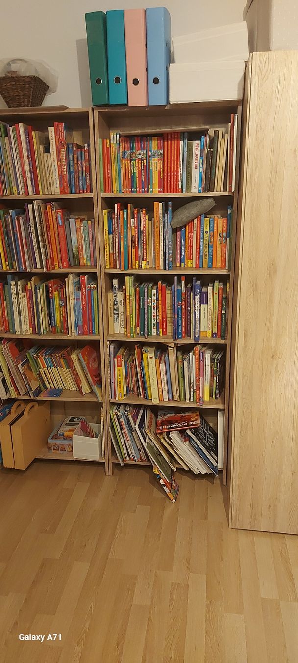 Étagères: Bücherregal 2 Stück – D'occasion à Rüthi (Rheintal) par Boschacat