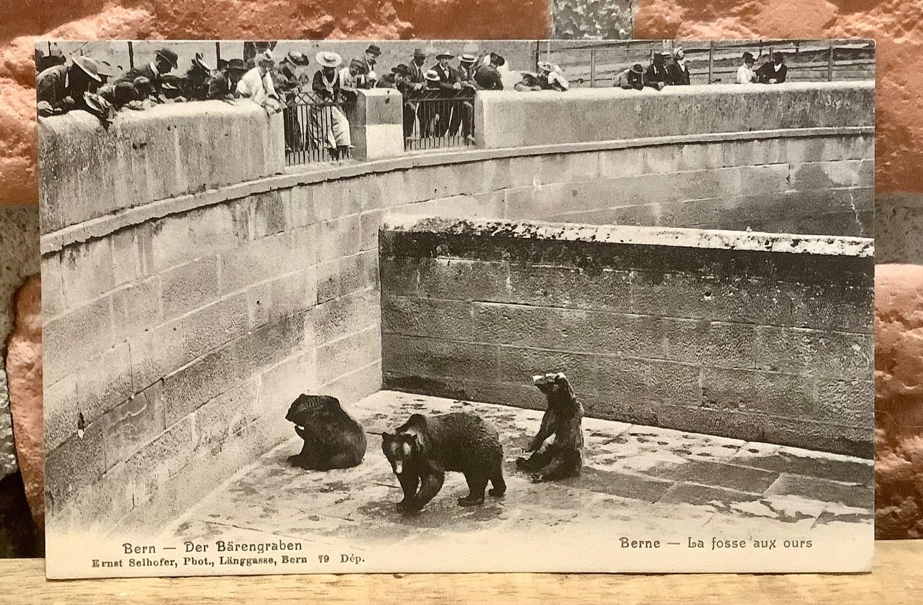 Ansichtskarten: 1907 - DER BÄRENGRABEN Bern - Belebt – Gebraucht aus Root von ENGLAND-TREASURES