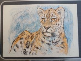 Fritz Hug  >>ruhender Leopard>>  grosse Farblitho